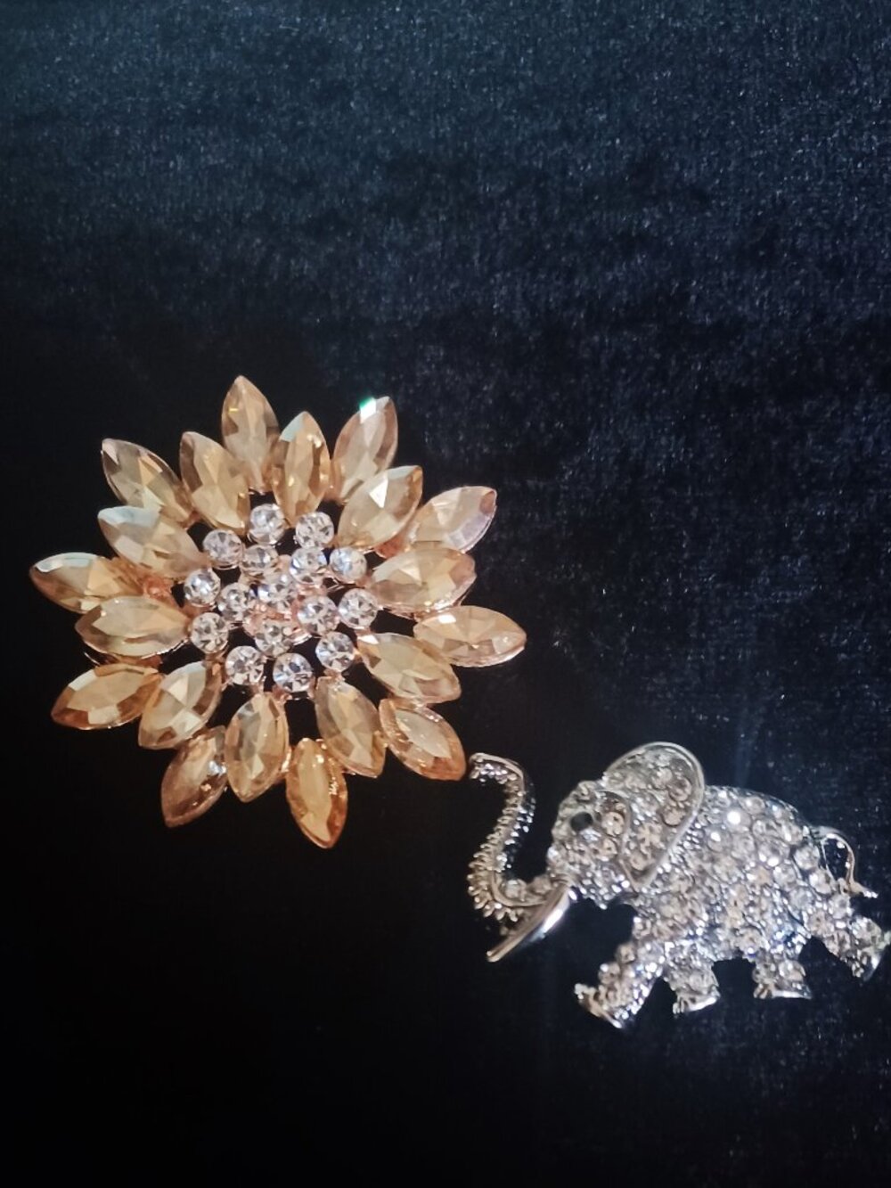 Two Unique Brooches